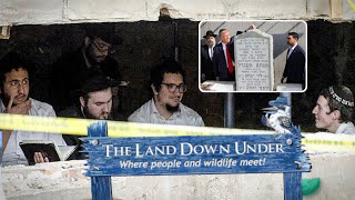 Trump Chabad | NYC Tunnels & "The Land Down Under" Chabad Kabbalah Hasidic Tunnels Taking Cover!