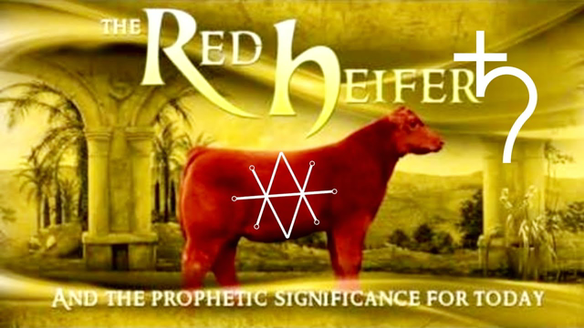 Israel | Edom - 2025 ? THE RED HEIFER & The THIRD TEMPLE | Israel's Texas Cow & Deceived Christians