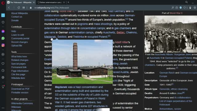 From Holohoax To Puericide