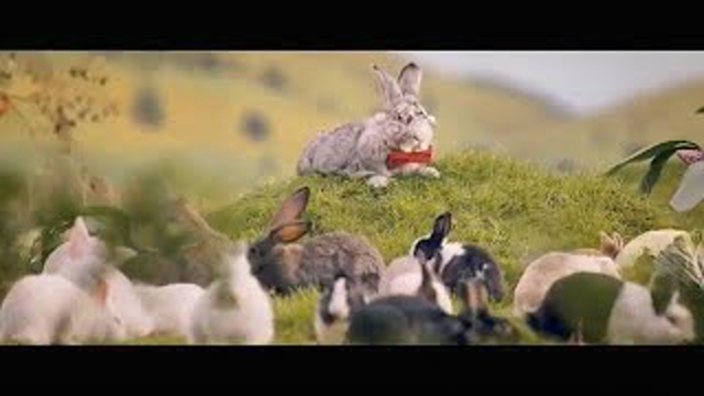 Fight for fertility in Europe