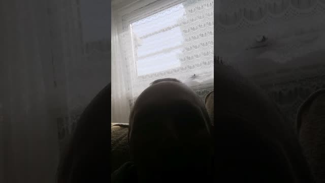 Evergrande =US/UK Treasury Bonds