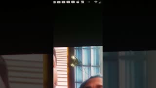 Hitler was trying to save his nation from the Illuminati the masons and the Jewish