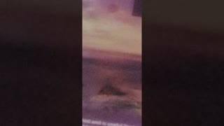 the jews conspire to kill Paul Acts 23:12-22