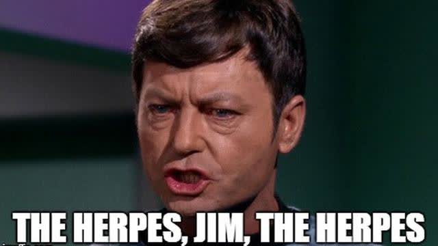 ANNA & ???? THE ANGRY HERP