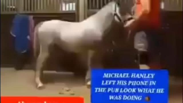 What is the Michael Hanley Horse video?