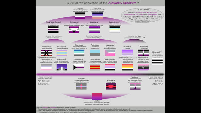 2022 OSCARS - THE POWER OF THE TRANS