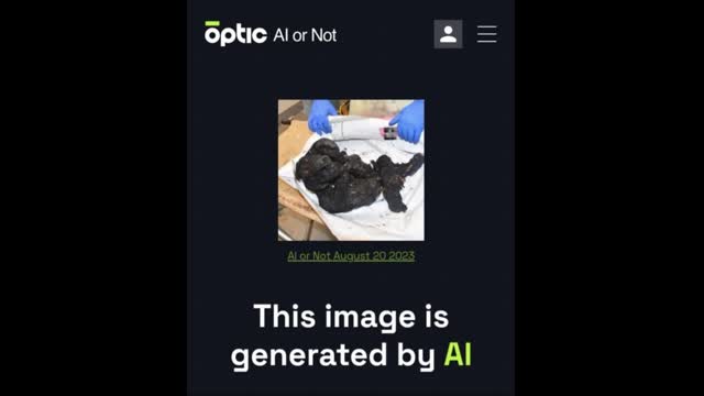 ISRAEL vs. PALESTINE: A DISCUSSION OF ROMANS 11