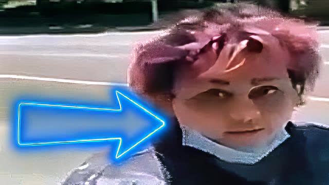 Dude Knows Exactly How To Handle Loudmouthed, Violent, Purple-Haired Libtards.