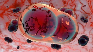 They were saying the vaccine was 100% effective now they say "we knew it was not going to work"