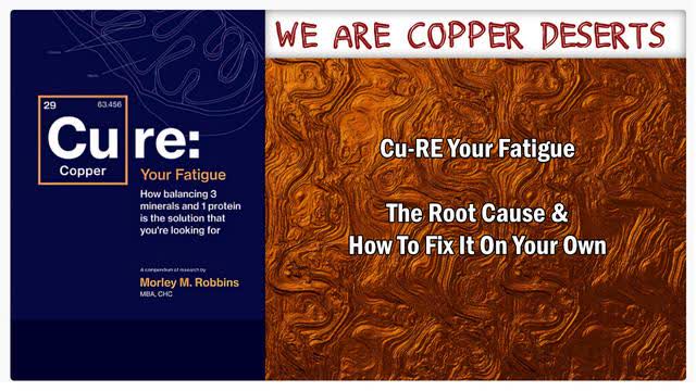 Cu-RE Your Fatigue Â· The Root Cause and How To Fix It On Your Own Â· Morley Robbins