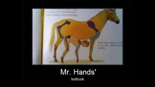 MR. HANDS ðŸ¦„ðŸ†ðŸ’€ðŸ˜† THE ENUMCLAW HORSE CASE ðŸ¦„ðŸ†ðŸ’€ðŸ˜† 2 GUYS 1 HORSE