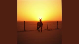 You Should Learn NNR