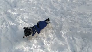 WHITE BOY SUMMER NEVER ENDS