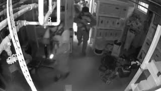 Police Raid An Illegal Pot Grower - He Disguises Himself As A Piece Of Art And Eludes The Cops!