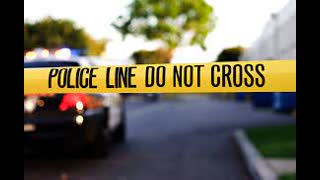 NIGGA GOT NO LICENSE, SPEEDING, AND GOT A BODY IN THE TRUNK!