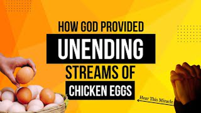 SHOCKING! HOW GOD SUPERNATURALLY PROVIDED CHICKEN EGGS | JONATHAN SHUTTLESWORTH