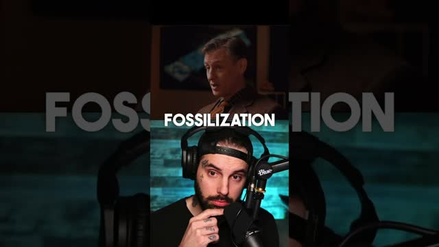 Fossils are not millions of years old (made in 24 hours) Credit: Answers in Genesis #reactionvideo