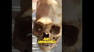 There’s Much More To Humans Than We Know!