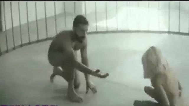 PEDOPHILES THEY WANT US TO ACCEPT THIS DEMONIC BEHAVIOR