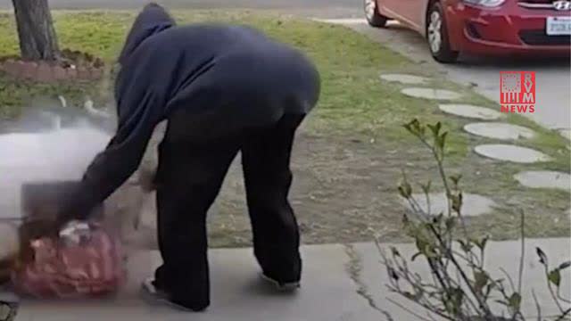 PORCH PIRATE LEARNS HOW TO SPELL FA:FO