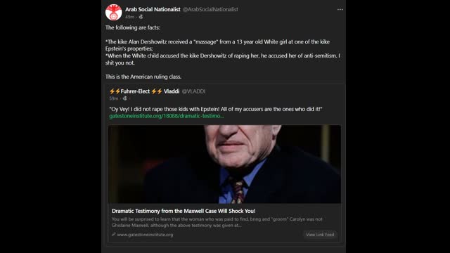 JEW PERVERT ALAN DERSHOWITZ - "I KEPT MY UNDERWEAR ON" AND EPSTEIN VICTIM IS "STILL A PROSTITUTE"