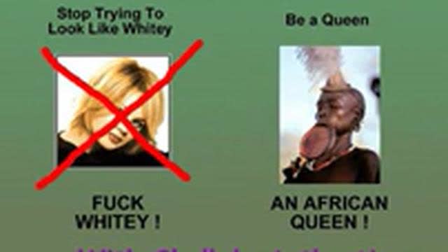 HIGH STANDARD BEARDED ðŸ¦ AFRICAN QUEEN