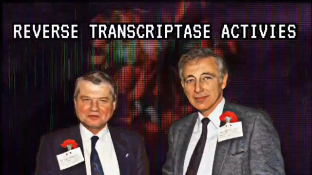 Reverse Transcriptase Activities