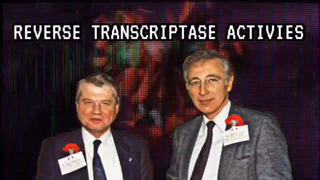 Reverse Transcriptase Activities
