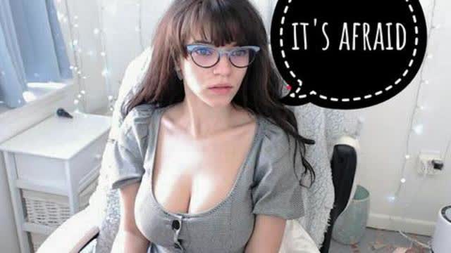 DIVERSITY IS WEAKNESS AND GENOCIDE