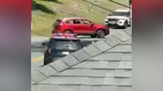 TOWN OFFICIAL DESCRIBES ENCOUNTER WITH MAINE DOCTOR ☤ SHOT BY TROOPER IN NY