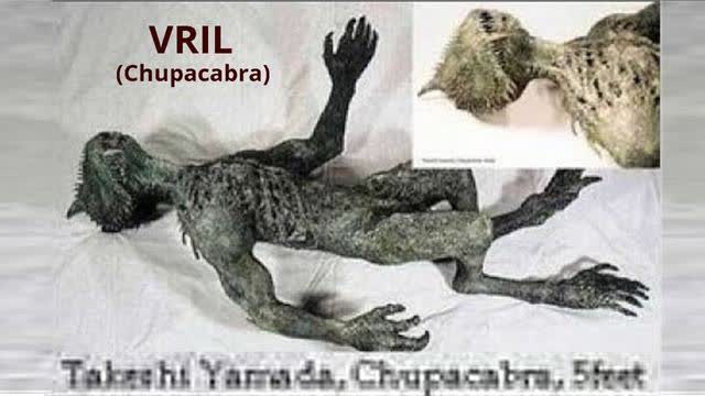 Human Cloning underground