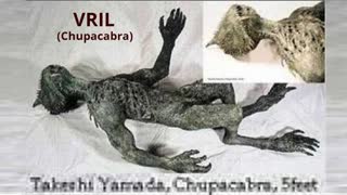 Human Cloning underground