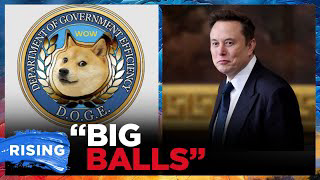 Kids Of DOGE: Engineer 'Big Balls' Goes Viral; Another Musk Staffer RESIGNS After Racist Posts