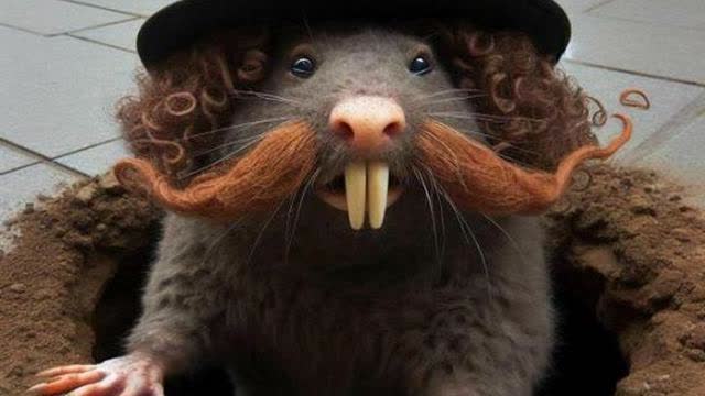 WHAT ARE YOU PEOPLE - ON DOPE?!? [TRY ADRENOCHROME]