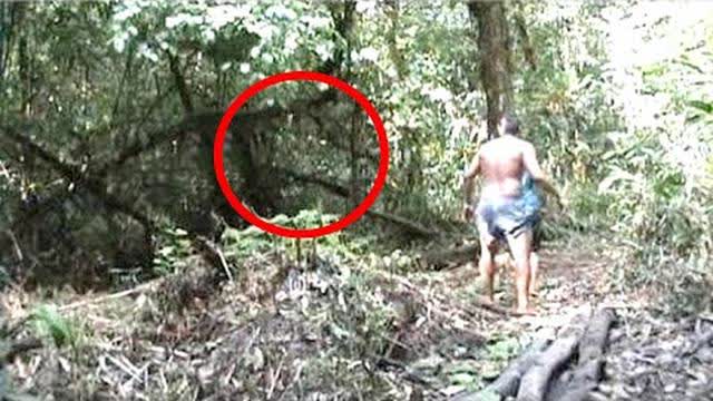Scientists Have Just Discovered A Time Capsule Lost To Time Hidden Inside This Tropical Forest