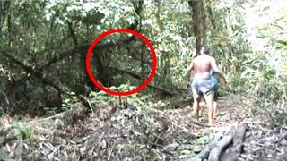 Scientists Have Just Discovered A Time Capsule Lost To Time Hidden Inside This Tropical Forest