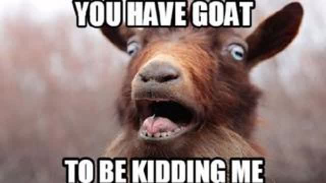 MY [RACIST] ? PET GOAT