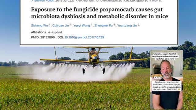 WHEN TESTING THE TOP 20 FAST FOOD BRANDS ☠ HERE'S WHAT 100% OF THEM TESTED POSITIVE TO CONTAIN