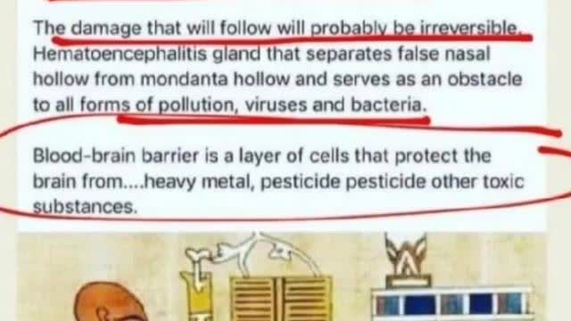 4CHAN USER PREDICTED COVID ðŸ’‰ðŸ˜·ðŸ’€ ON SEPTEMBER 5, 2019