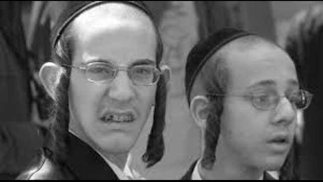 YID CALLING THE GOYIM 'INBRED'