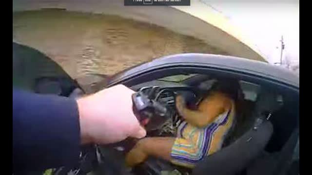 Dash & Body Cam Shows TN Woman Shooting Cop Before She Was Fatally Wounded or WHEN SHEBOONS CHIMP OUT