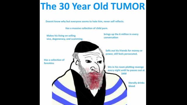 SO, LET ME GET THIS STRAIGHT... EVERY JEW IS THE PROBLEM??? [YES, YA DUMB FCUKIN' GOY]