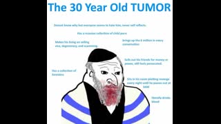 SO, LET ME GET THIS STRAIGHT... EVERY JEW IS THE PROBLEM??? [YES, YA DUMB FCUKIN' GOY]