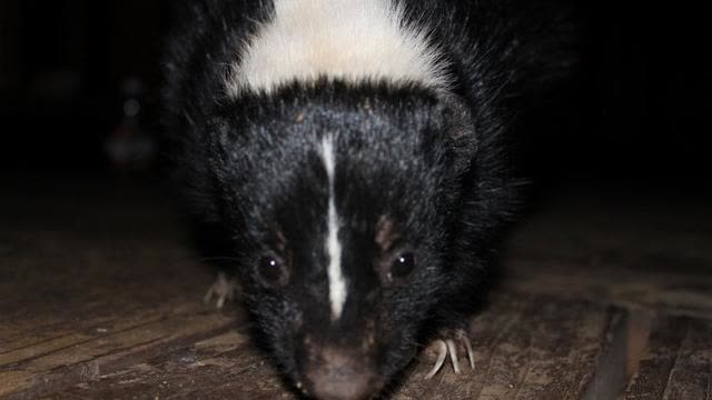 Talking Loud And Saying Nothing