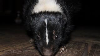 Talking Loud And Saying Nothing