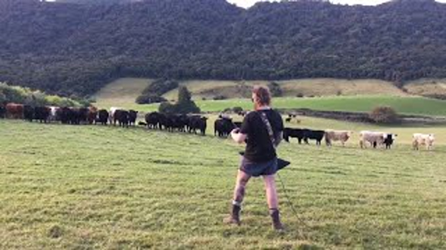 Playing Doom for the Cows.