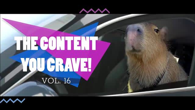 THE CONTENT YOU CRAVE! VOL. 16 ASSAULT EDITION