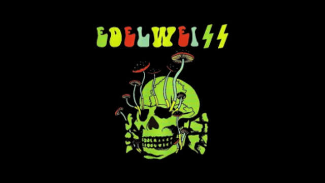 Hets Mot Folkgrupp Who Cares