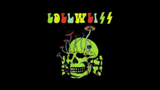 Hets Mot Folkgrupp Who Cares