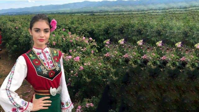 What does 'Wings of the same bird' mean?